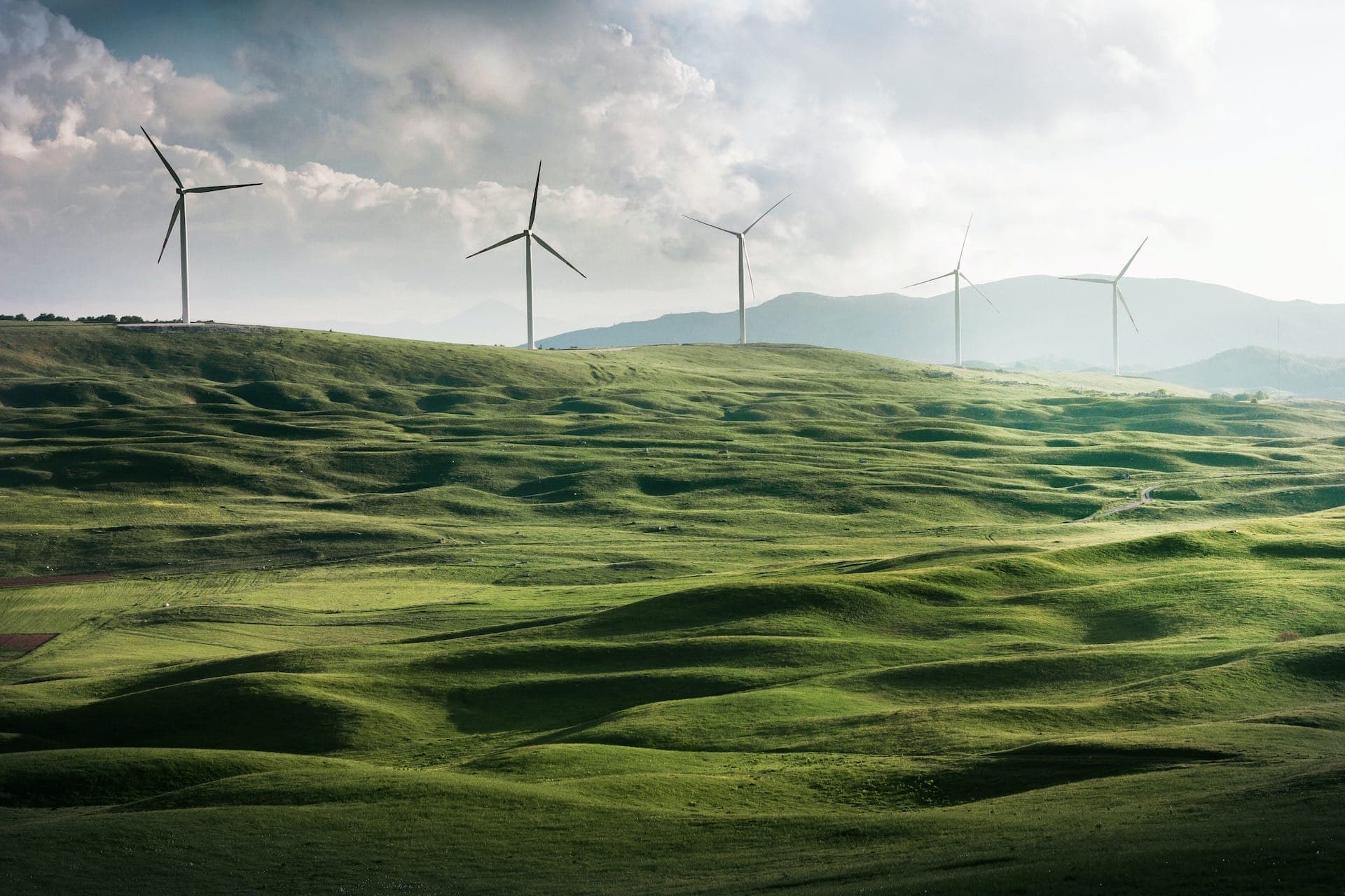 Green fields and wind turbines